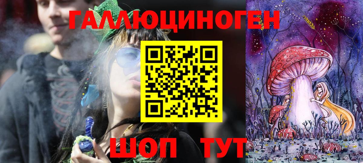 Псилоцибиновые грибы MAGIC MUSHROOMS  Вход с VPN  Александров 