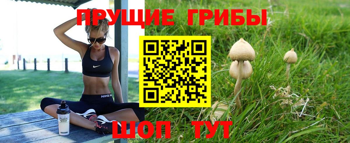 Псилоцибиновые грибы MAGIC MUSHROOMS Александров
